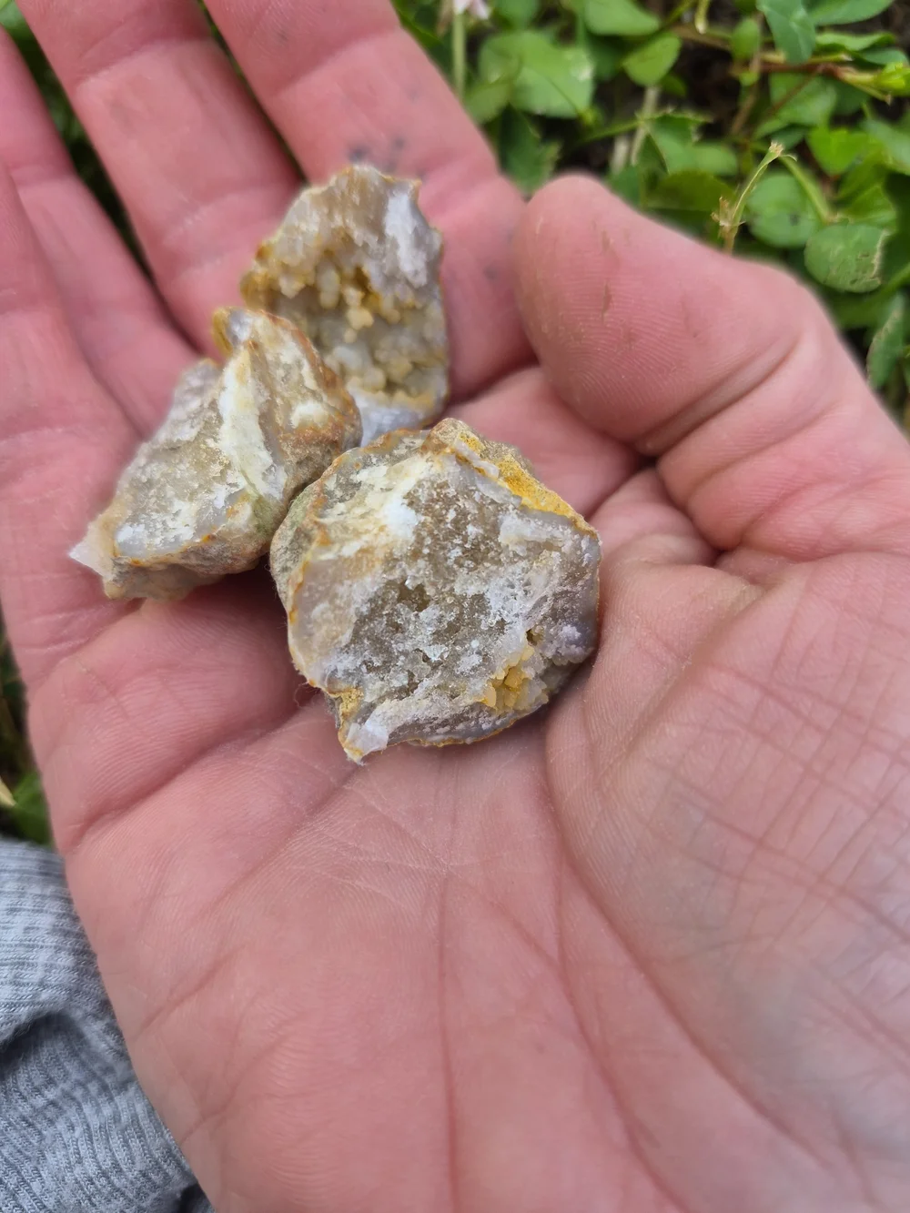 Raw Natural And Uncut Crystals And Fossils